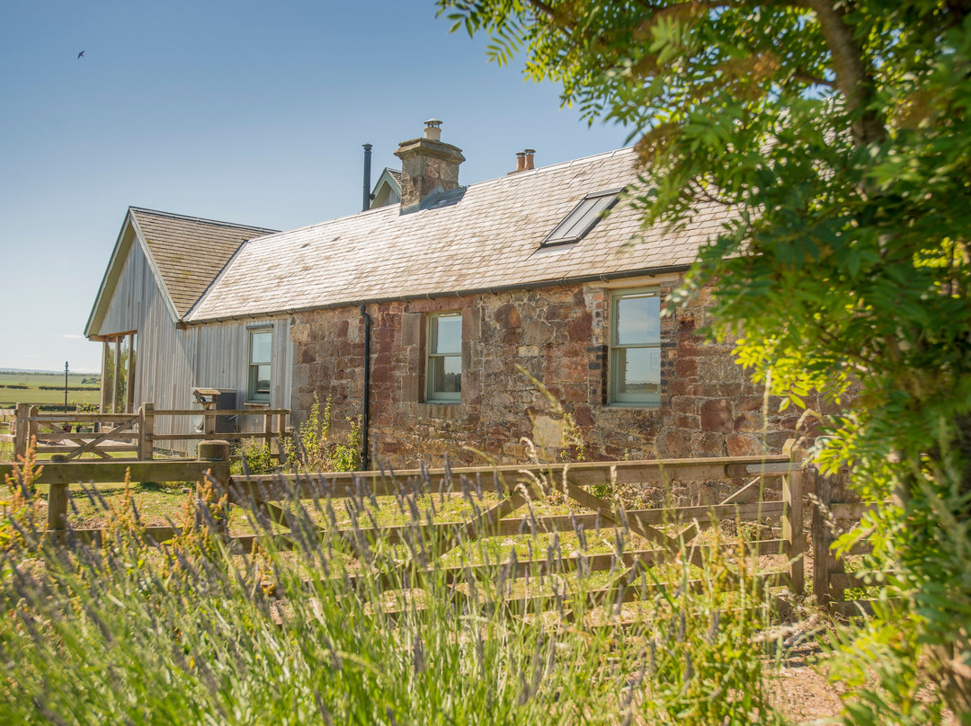 Wheatrig Bed and Breakfast主图