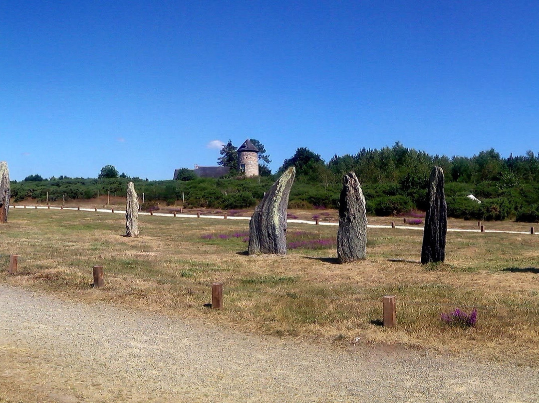 Site Mégalithique de Saint-Just景点图片