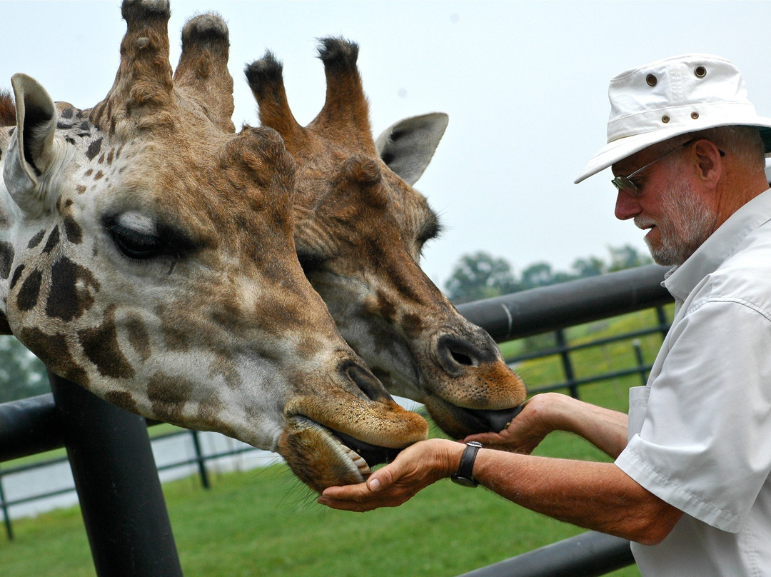 Safari Niagara-Stevensville必去景点