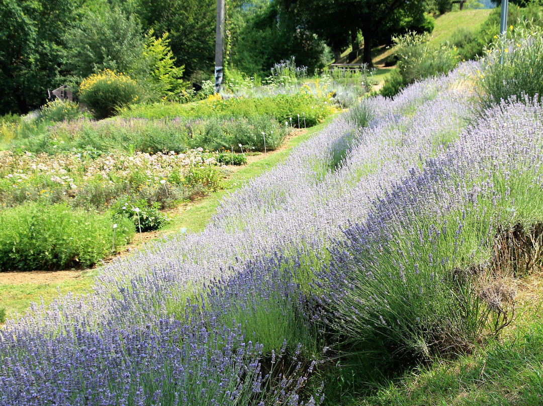 Giardino delle Erbe Augusto Rinaldi Ceroni景点图片