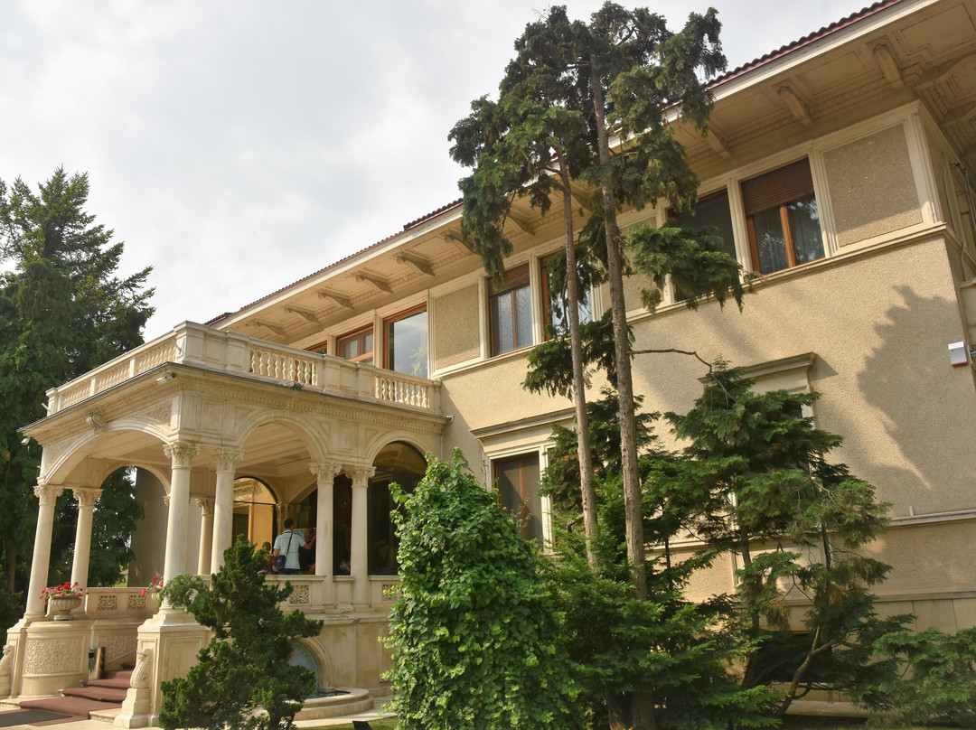Ceaușescu Mansion景点图片