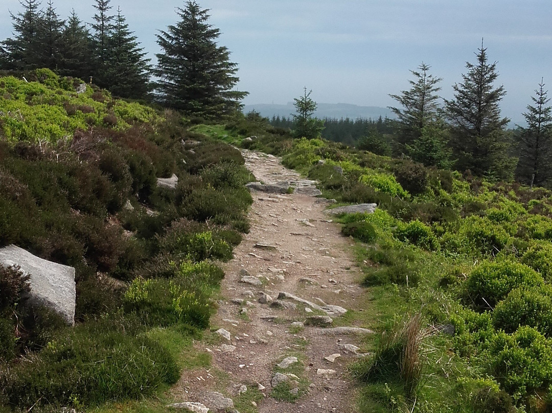 Curtrekkers-Rathfarnham必去景点