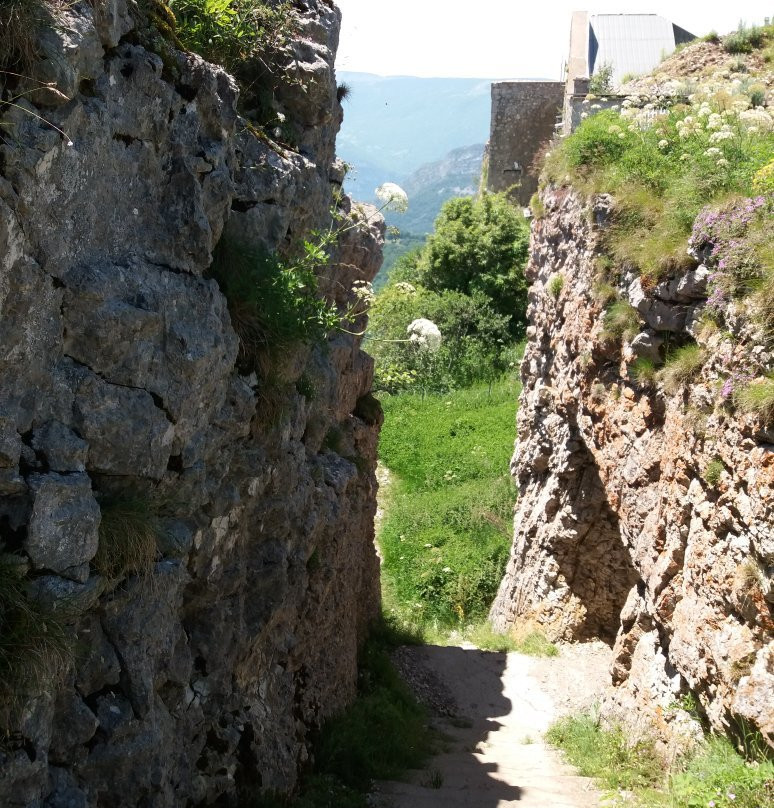 Fort Saint-Eynard景点图片