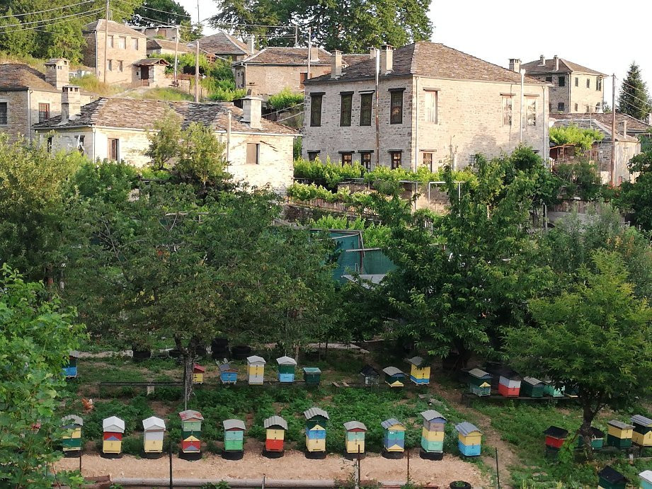 Hotel Driofillo主图