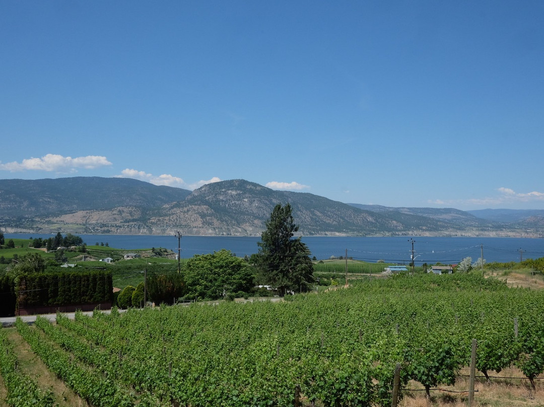 Savour the Okanagan Tours景点图片