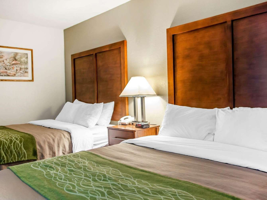 Comfort Inn Muscatine Near Hwy 61主图