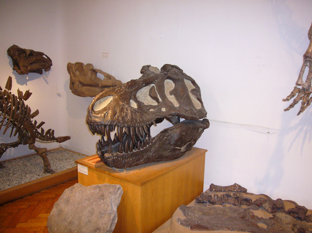 Paläontologisches Museum景点图片