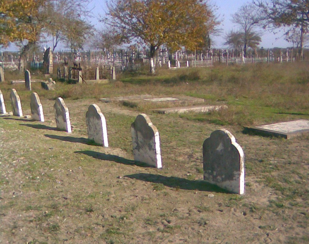 Sulina Mixed Cemetery景点图片