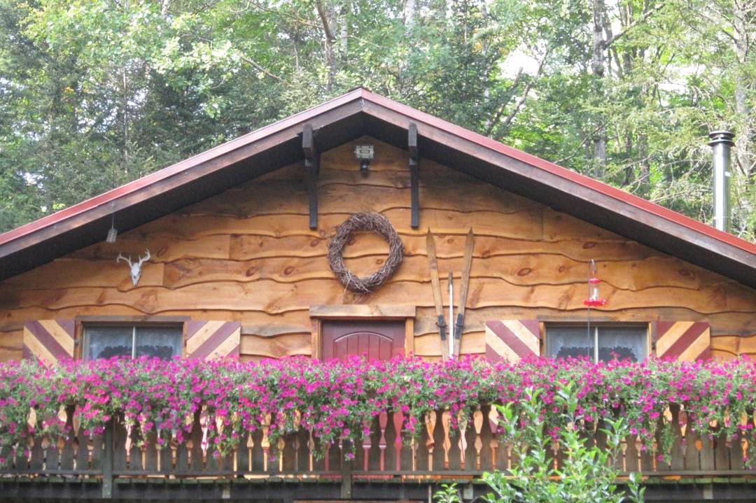 Welch Mountain Chalet Bed & Breakfast主图