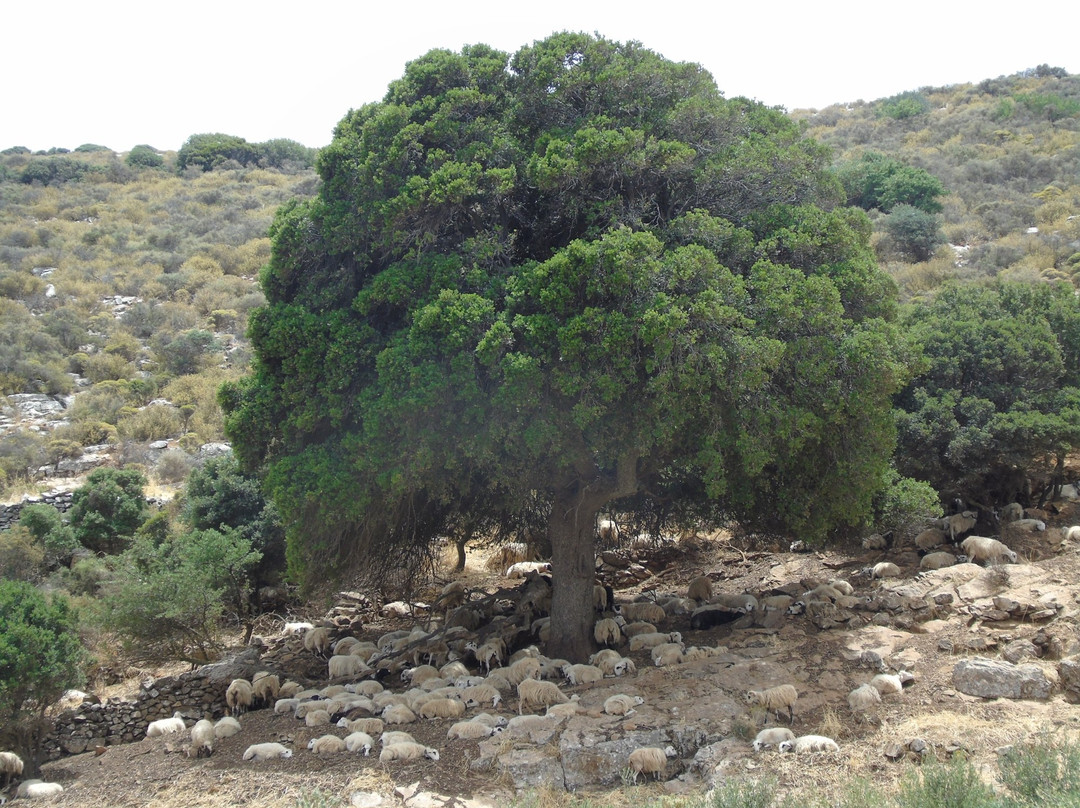 Karidi旅游攻略图片