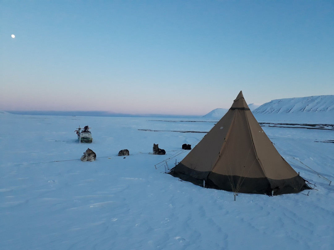 Polardogs Svalbard-朗伊尔城必去景点