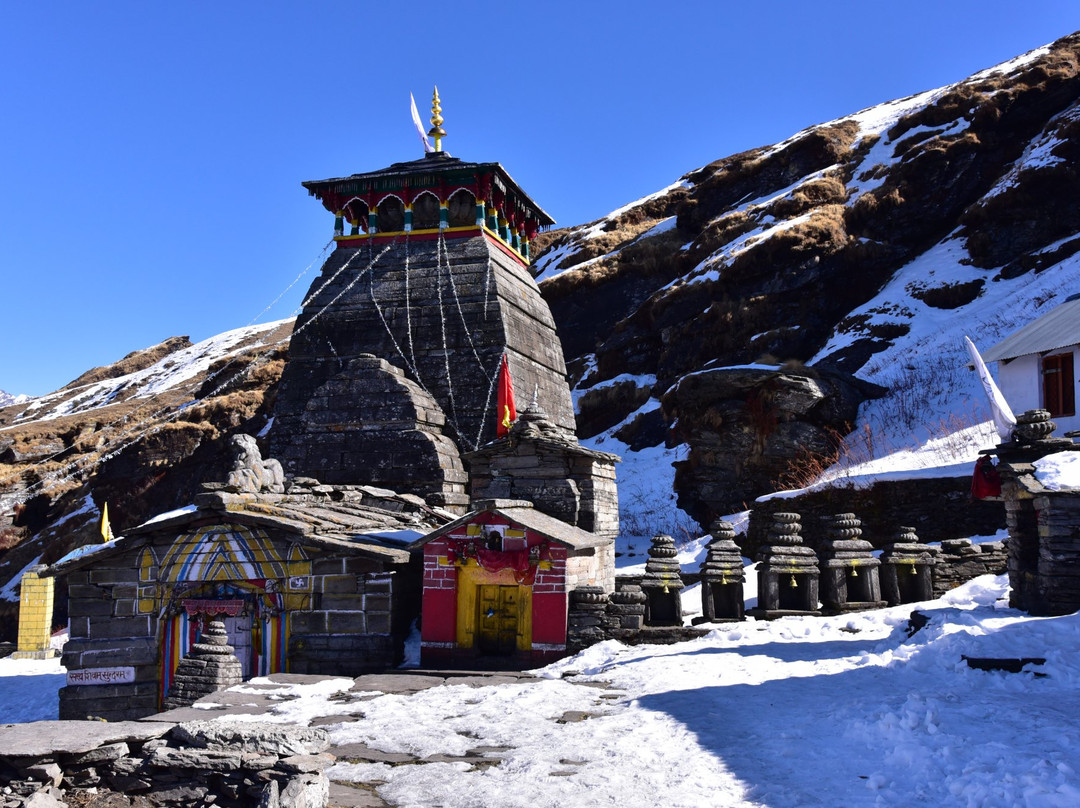 Alpine Adventure Camp主图