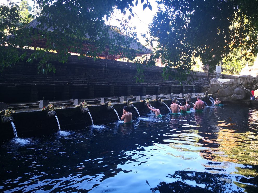 Bromelia Bali Tour & Transport Service - Day Tours-乌布必去景点