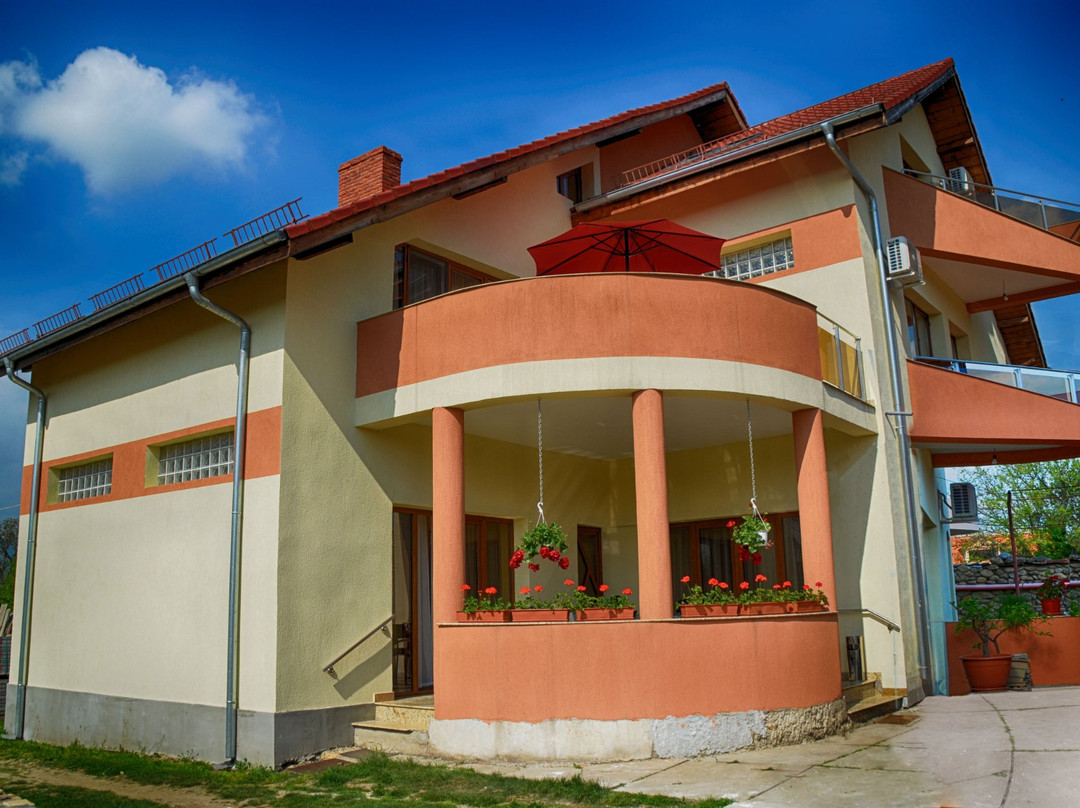 Pensiunea Koruna主图