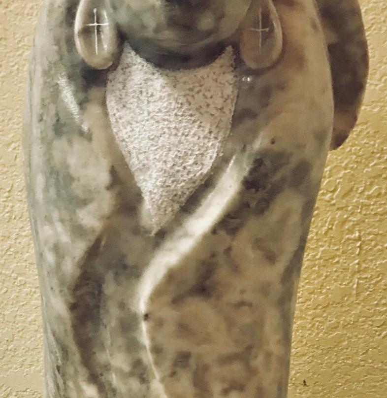 Tribes Gallery-诺曼必去景点