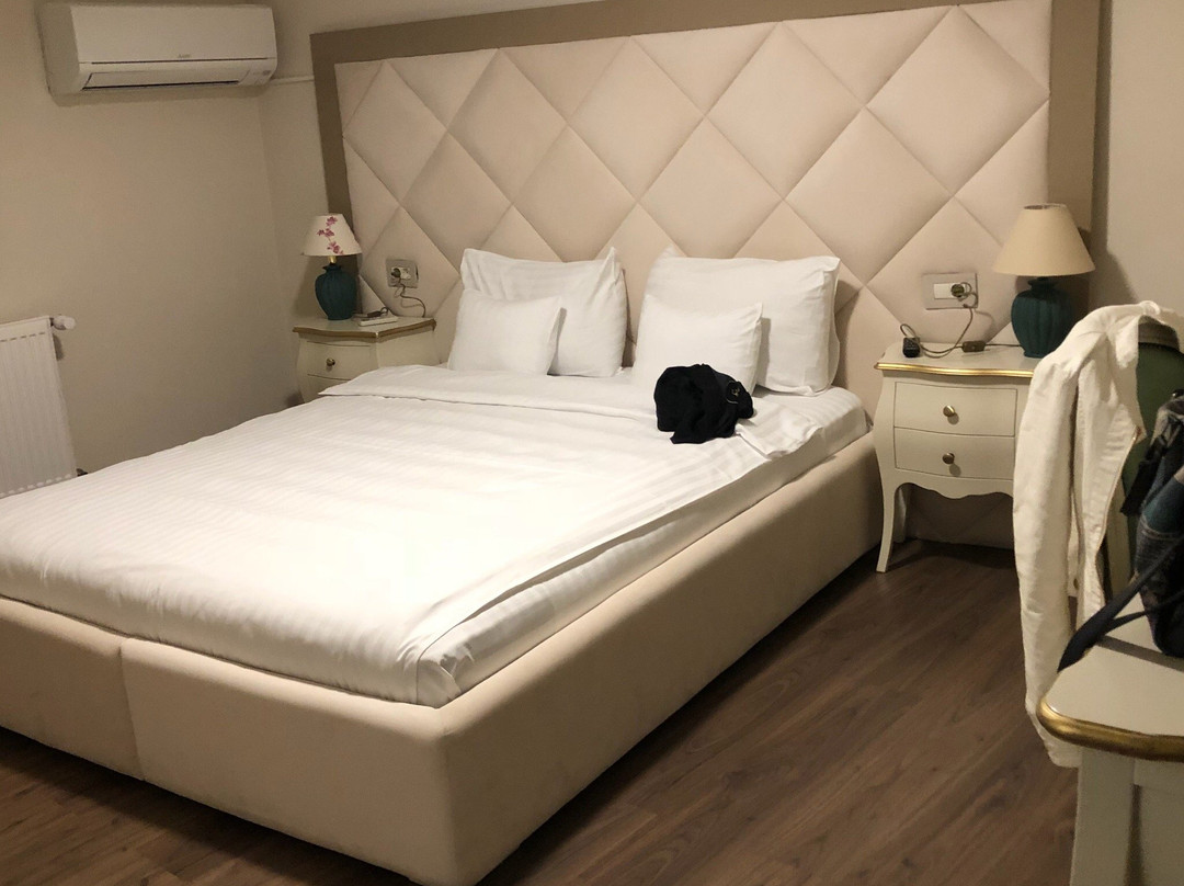 Sagu酒店住宿-City Boutique Hotel Arad