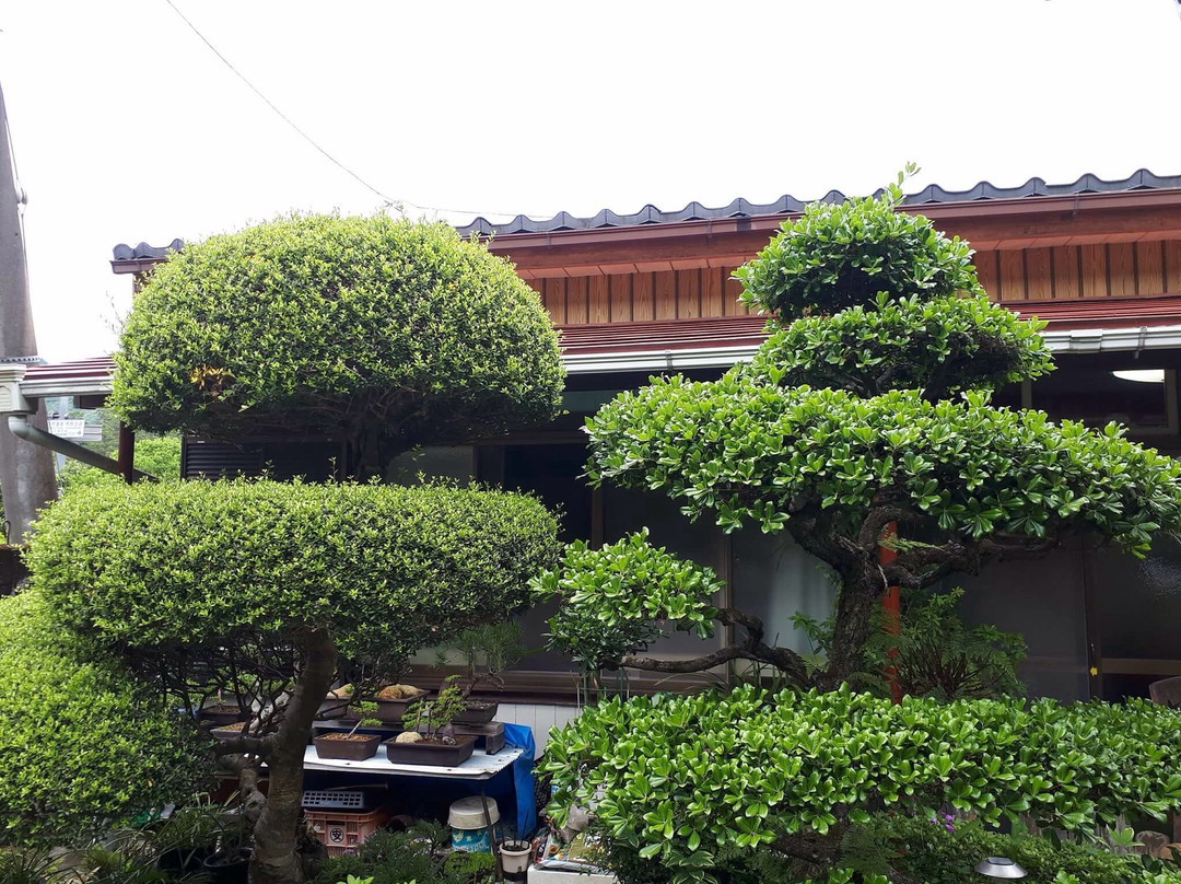 Minshuku Momofuku主图