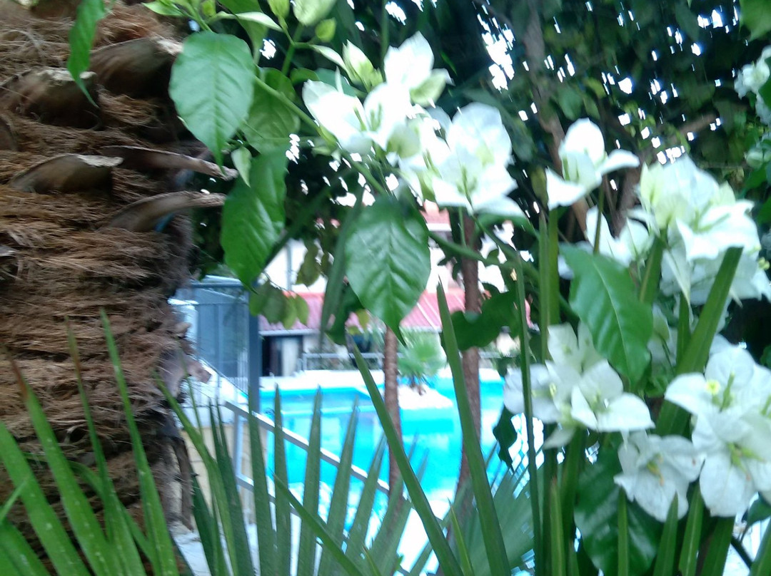 Aragorn Hotel
