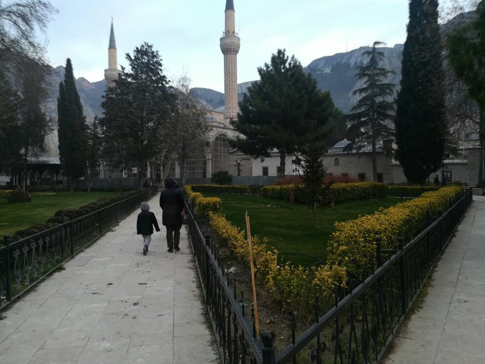 Sultan II. Beyazit Mosque & Theological College景点图片
