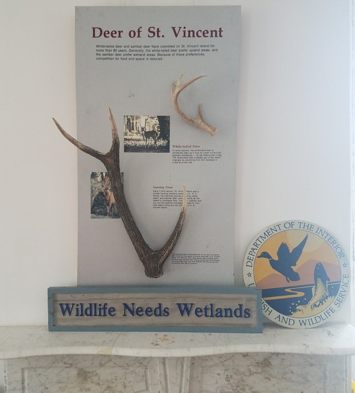 Saint Vincent National Wildlife Refuge景点图片