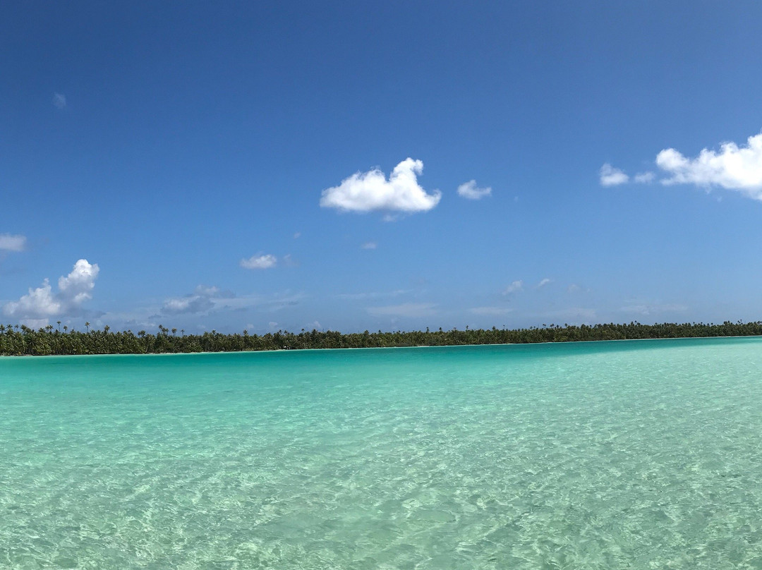 Tuamotu Archipelago餐馆和美食-Cocoperle Lodge