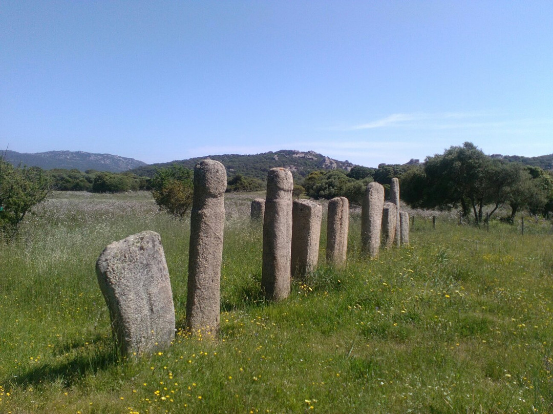Megaliths of Cauria景点图片