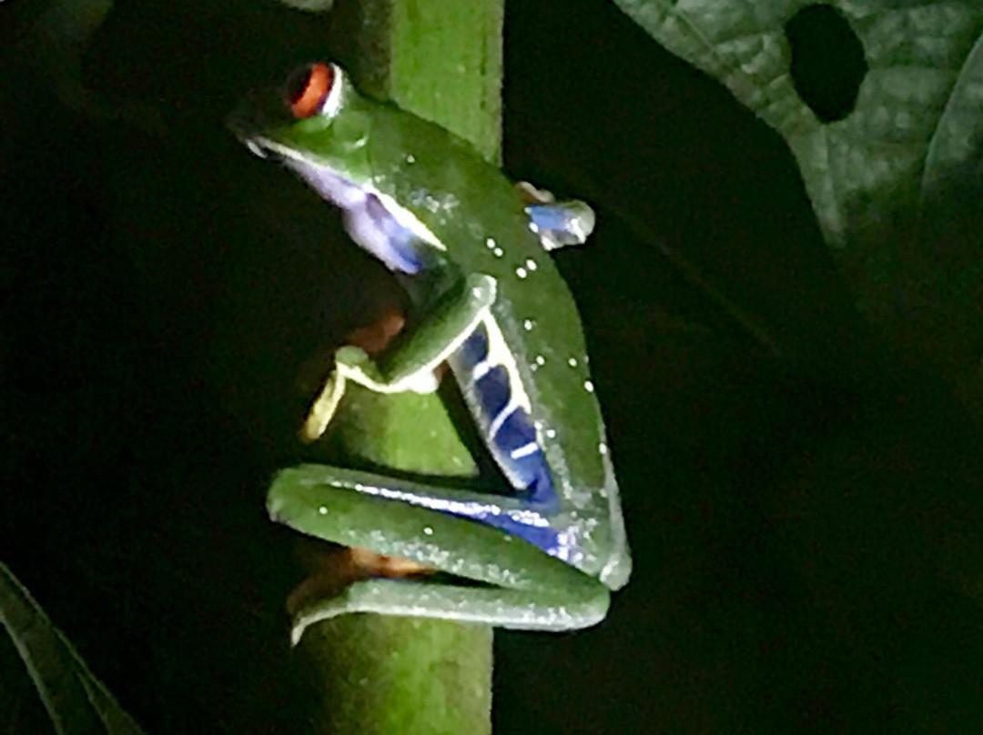 Natura Eco Park Costa Rica景点图片