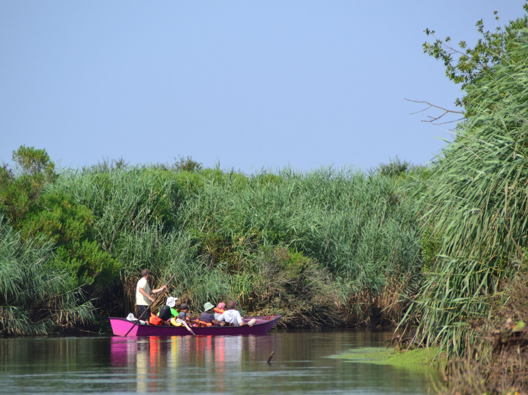 Parc naturel régional des Landes de Gascogne景点图片