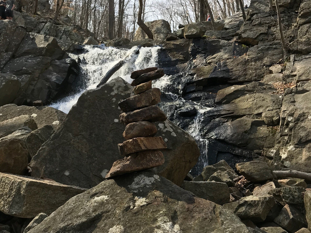 Schooleys Mountain County Park景点图片