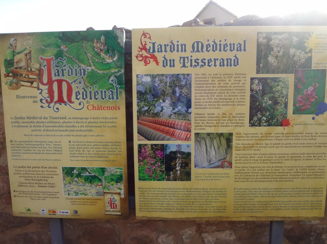 Jardin medieval景点图片