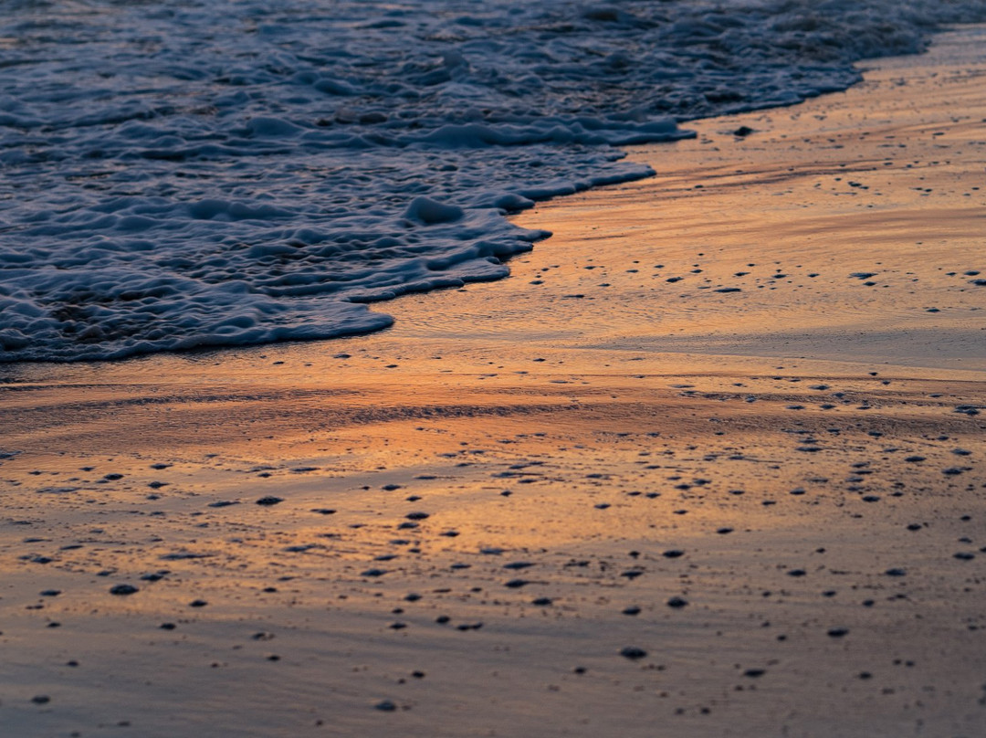 Sidi Kaouki旅游攻略图片