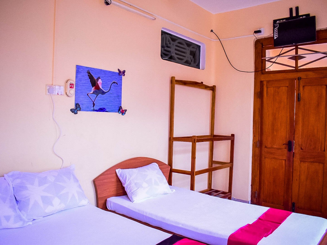 Hotel Flomingo主图