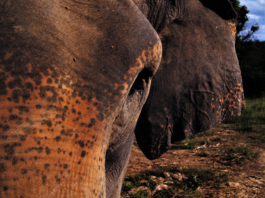 The Banana Orchard Project-北碧必去景点