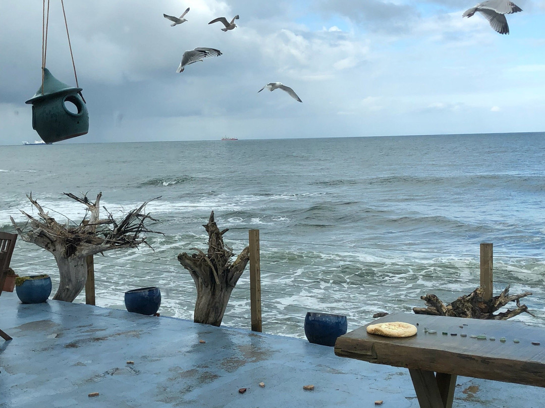 Sea Yonder