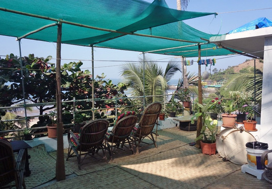 Cactus Guesthouse主图