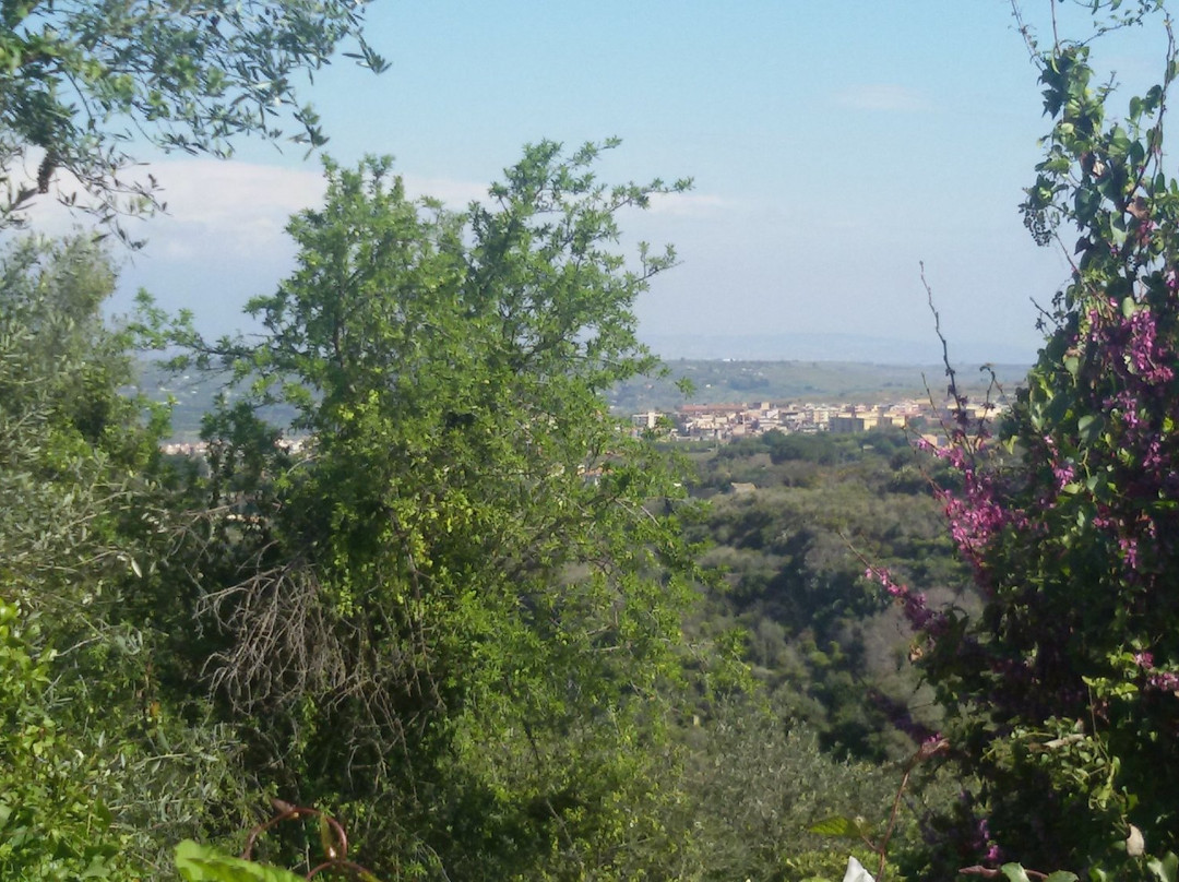 Parco Archelogico Leotinoi-Carlentini必去景点