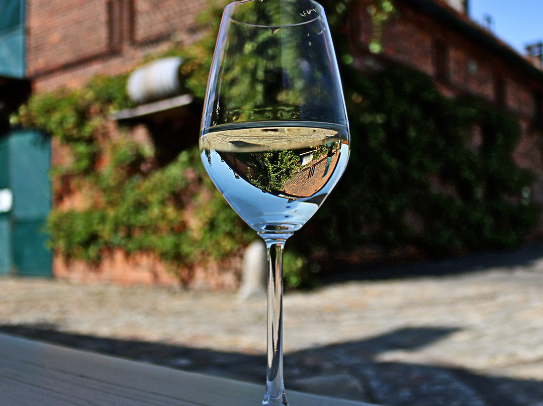 Sroda Slaska酒店住宿-Winnice Jaworek