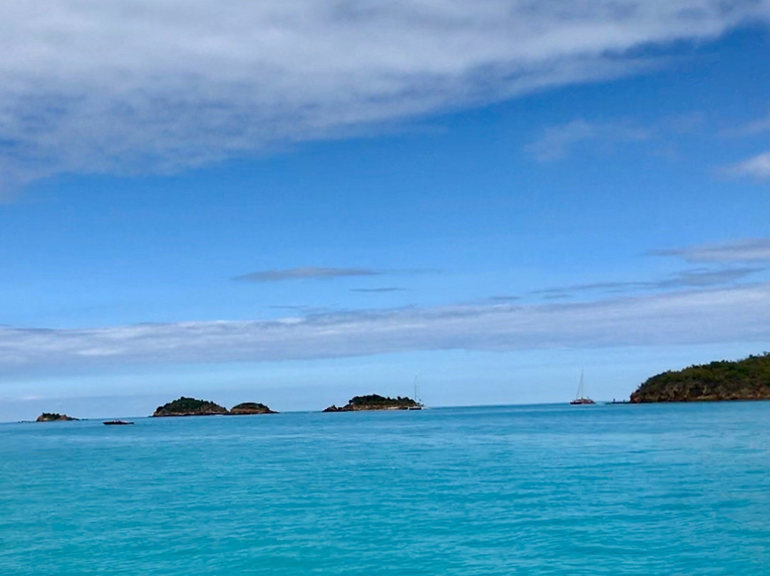 Joy Sailing Tours-Jolly Harbour必去景点