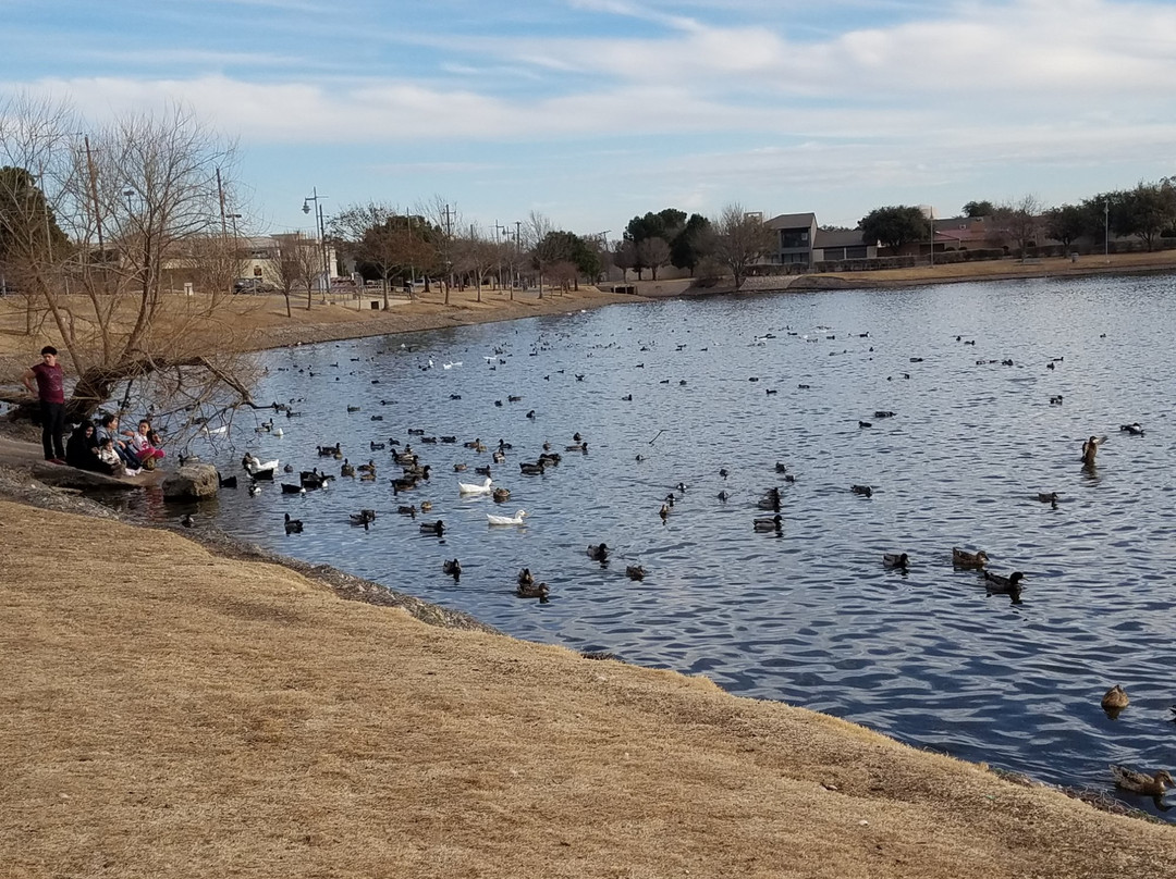 Hampton Inn By Hilton Odessa主图