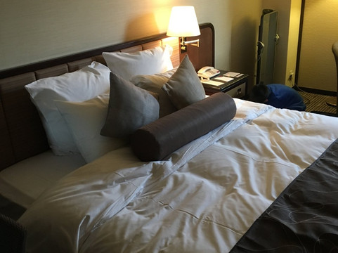 京都全日空酒店主图