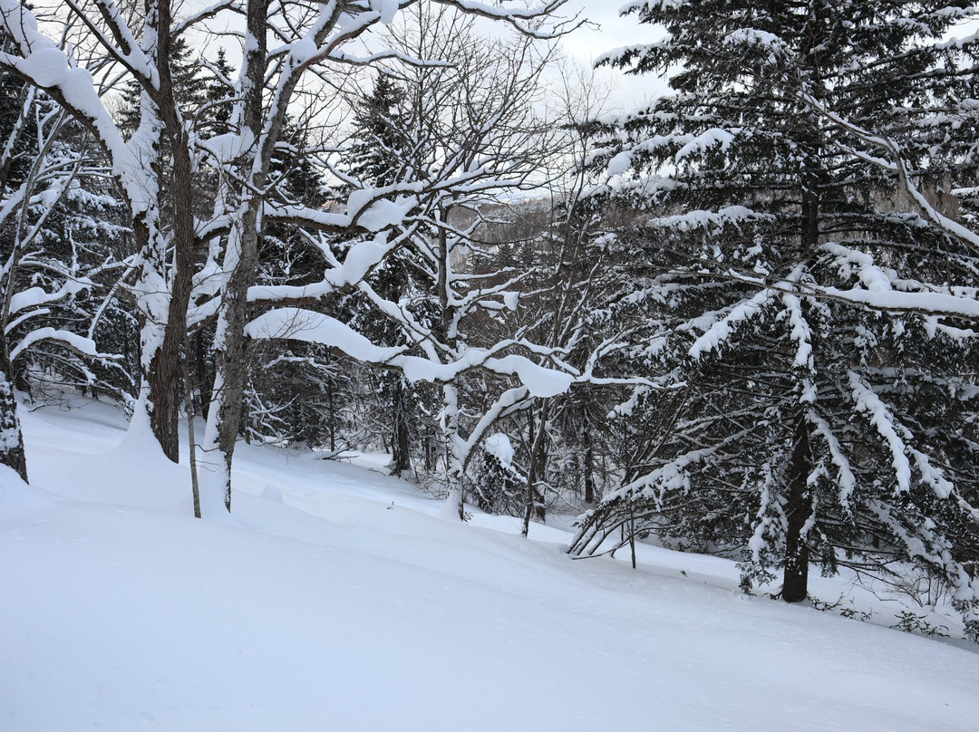 Donkoro Outdoor School-南富良野町必去景点