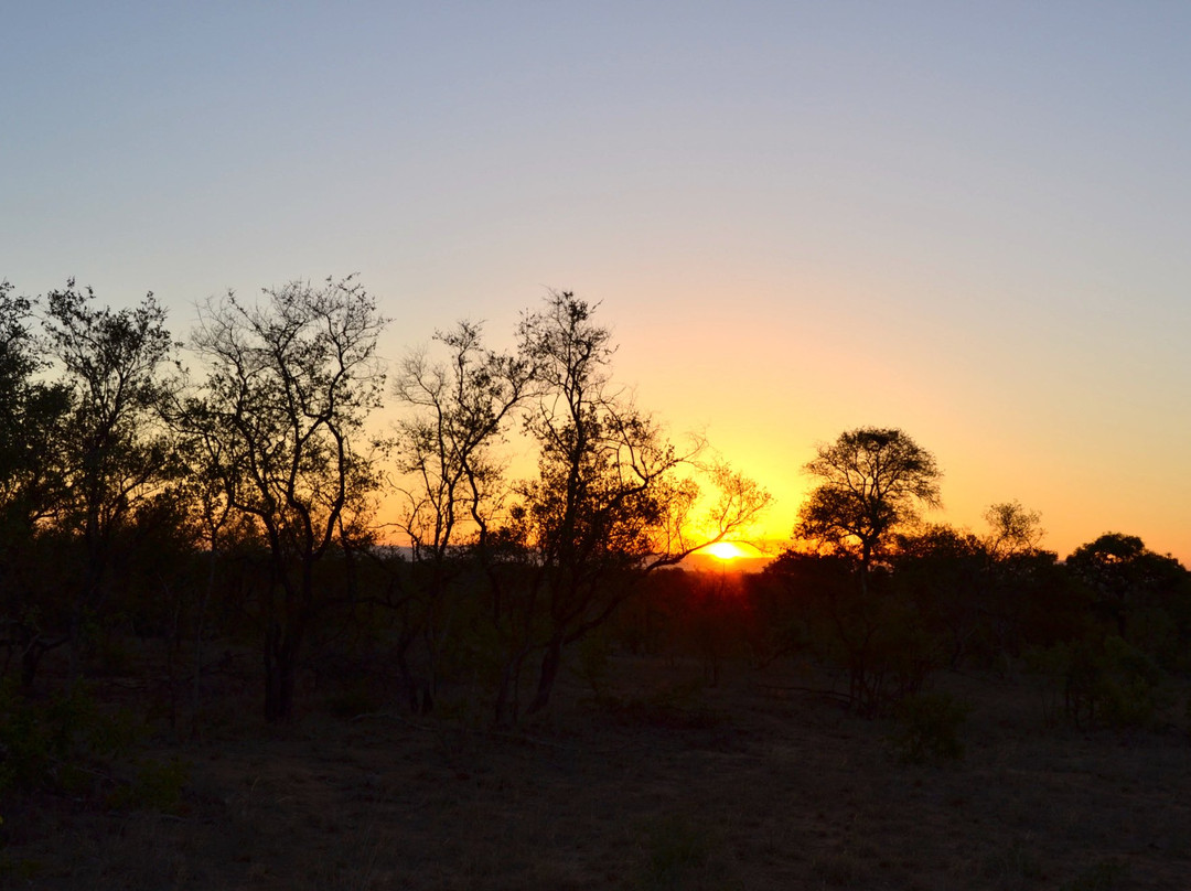 Honeyguide Khoka Moya & Mantobeni Camps主图