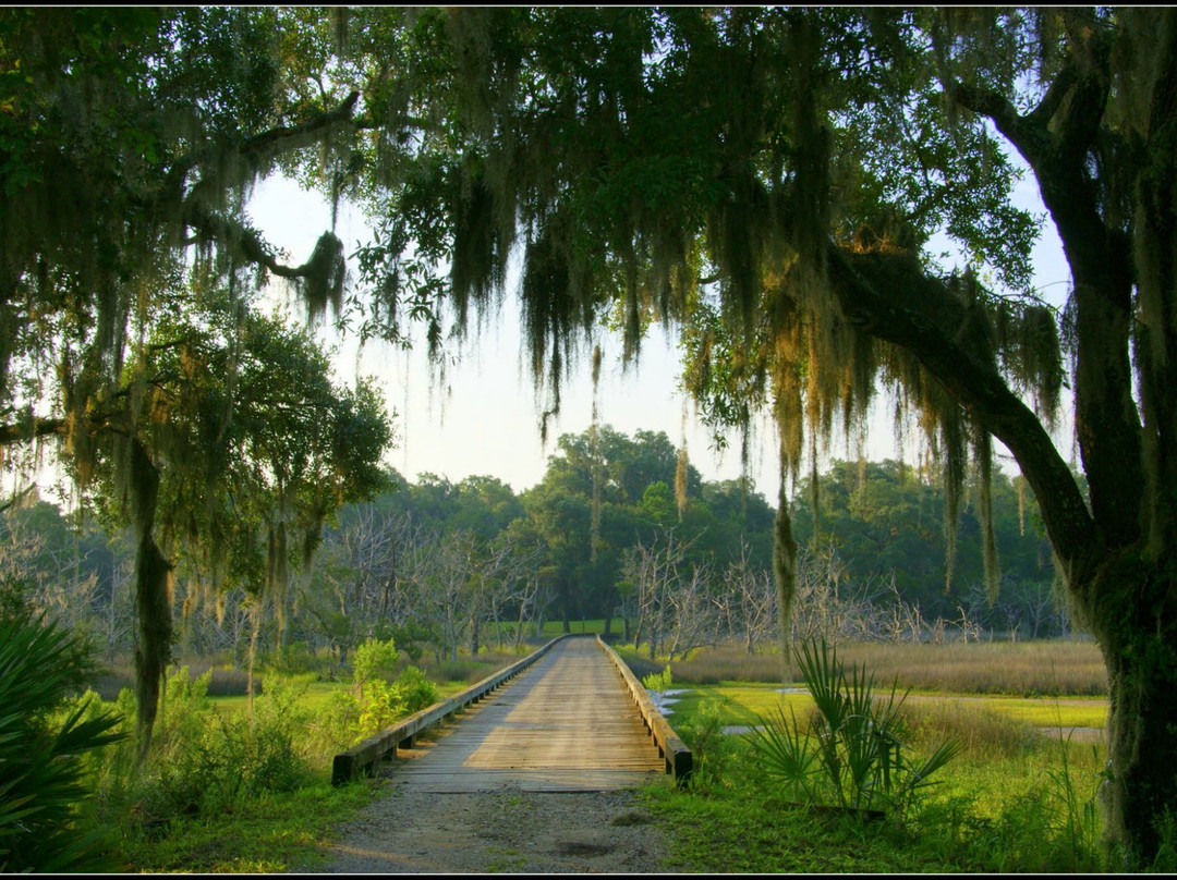 Sapelo Hammock Golf Club-Shellman Bluff必去景点