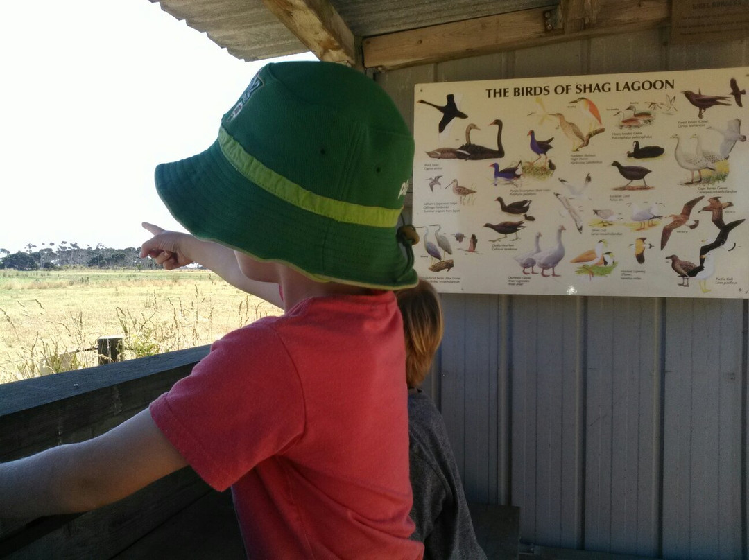 Shag Lagoon Bird Hide
