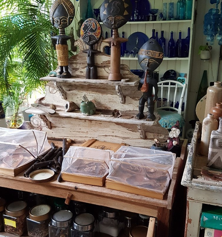 The Bonaire Botanical Garden景点图片