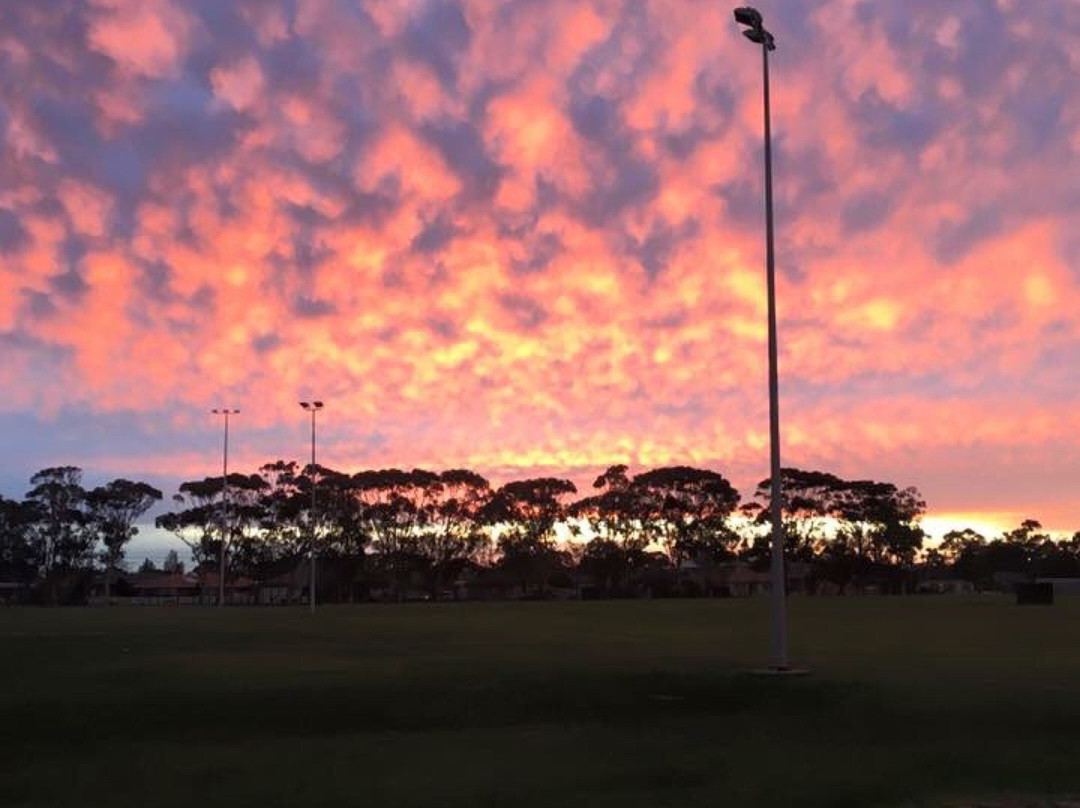 Paisley Park景点图片