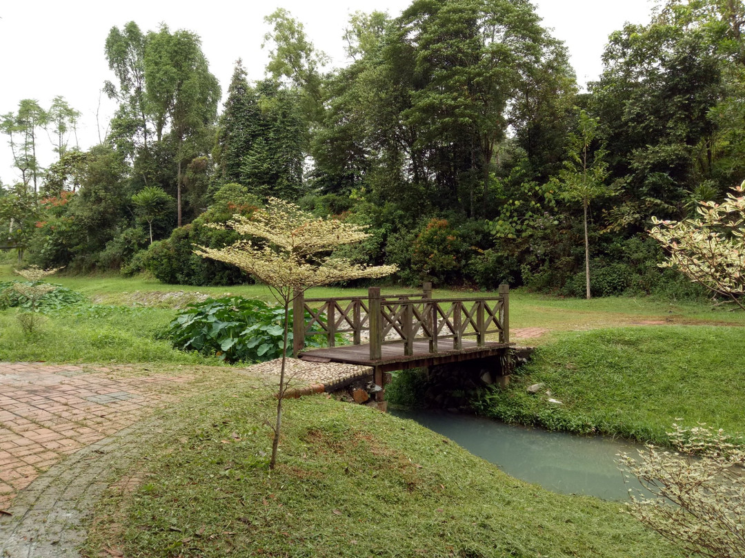 Hutan Bandar Recreational Park-新山必去景点