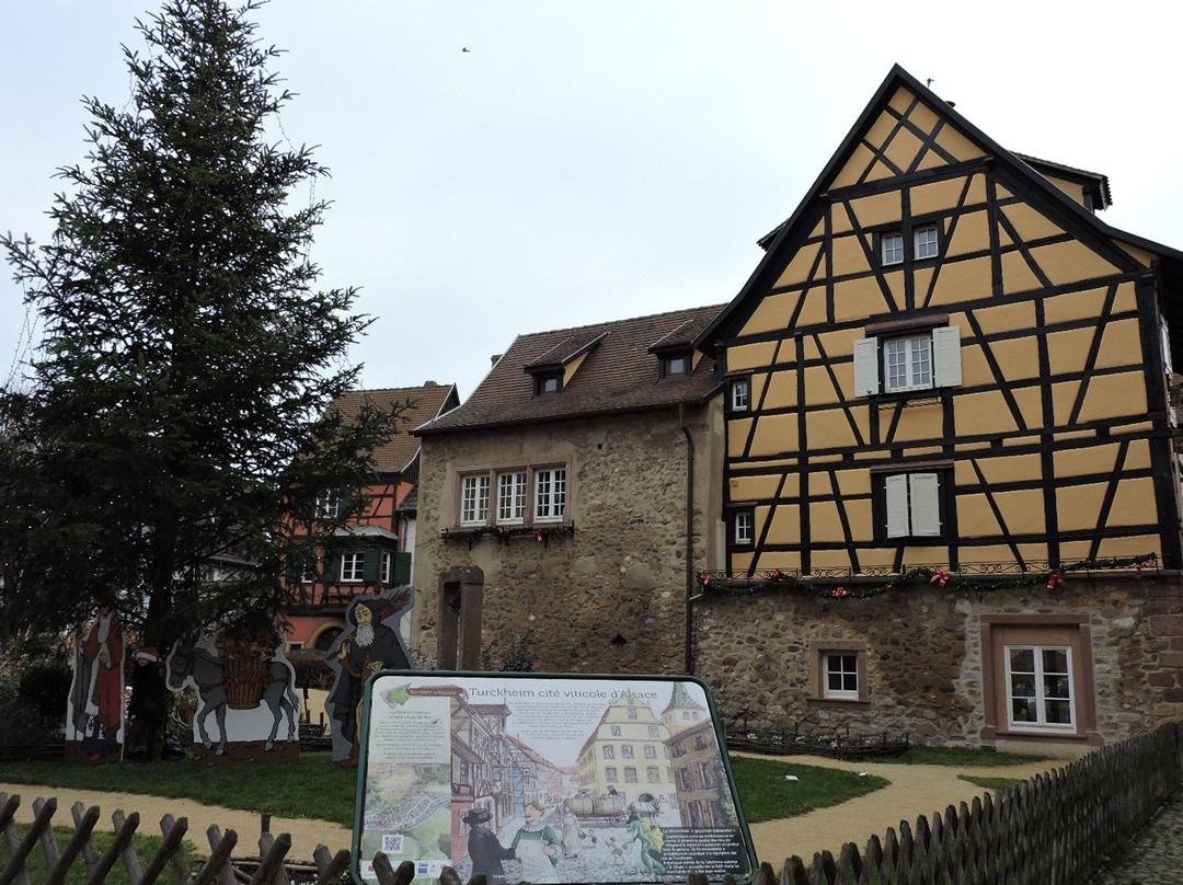 Jardin Medieval景点图片