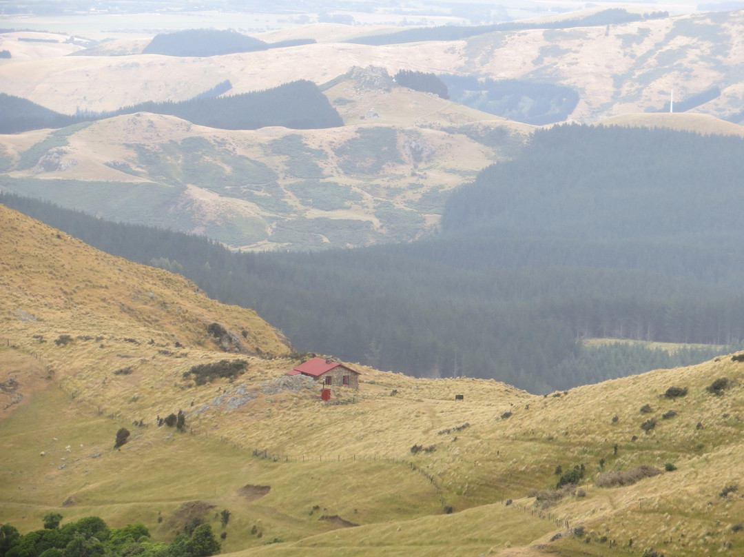 Te Ara Pātaka/Summit Walkway景点图片