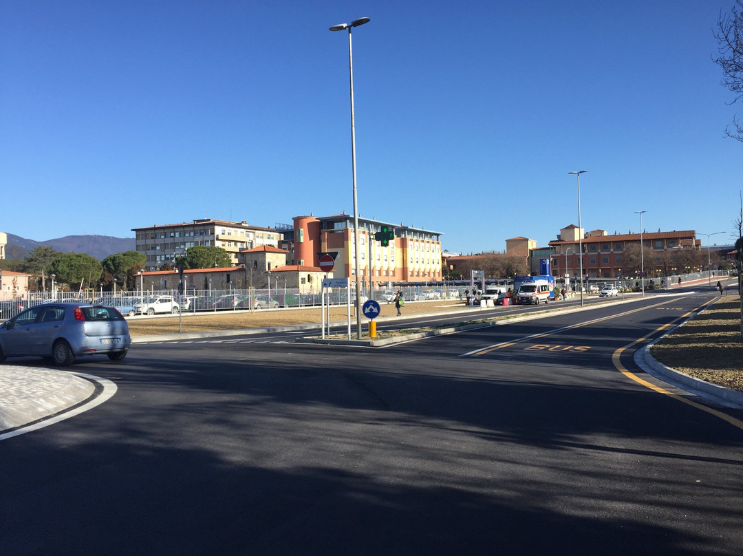 Mezzana-Colignola酒店住宿-Bed and Breakfast Le Quattro Stagioni